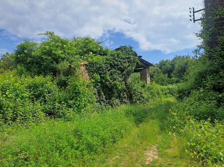 Reiterhof in Girona-Costa Brava, vielfältige Nutzungsmöglichkeiten
