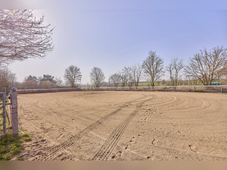 Reiterhof kaufen im Landkreis Kitzingen mit modernem Wohnhaus aus 2019 und Kapazität für 21 Pferde!