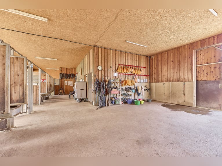 Reiterhof kaufen im Landkreis Kitzingen mit modernem Wohnhaus aus 2019 und Kapazität für 21 Pferde!