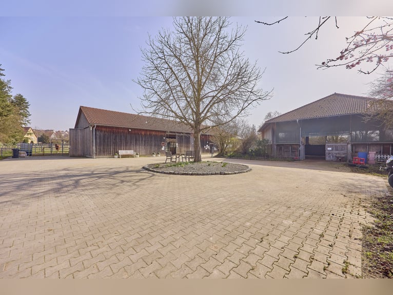 Reiterhof kaufen im Landkreis Kitzingen mit modernem Wohnhaus aus 2019 und Kapazität für 21 Pferde!