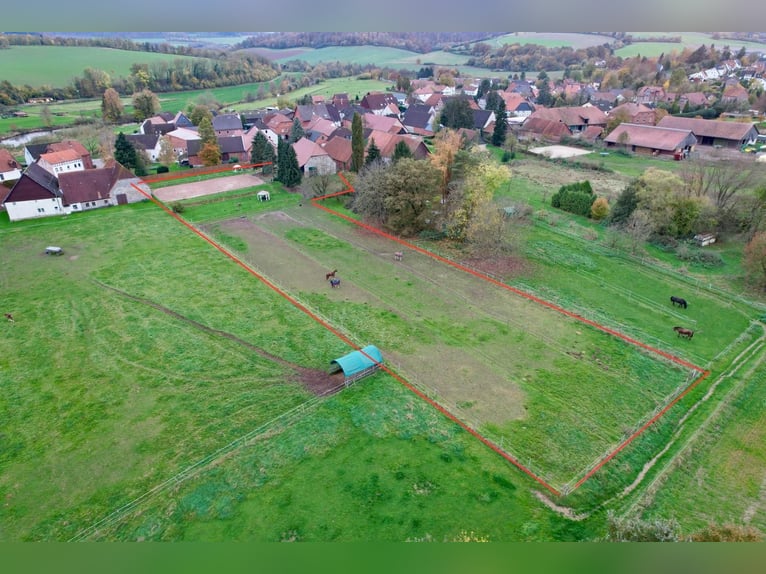 Reiterhof mit großzügigem Wohnhaus im Weserbergland