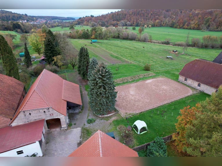 Reiterhof mit großzügigem Wohnhaus im Weserbergland