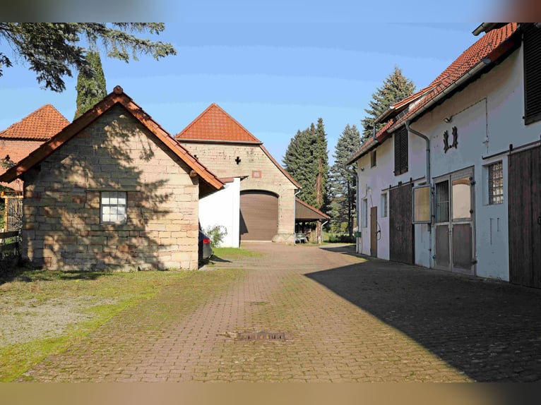 Reiterhof mit großzügigem Wohnhaus im Weserbergland