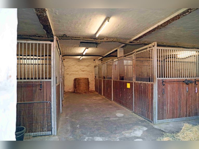 Reiterhof mit großzügigem Wohnhaus im Weserbergland