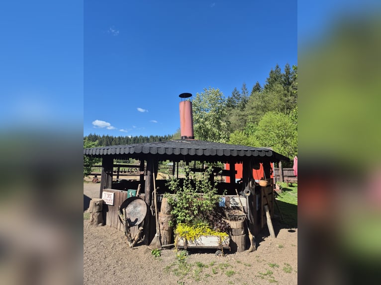 Reiterhof mit Jugendunterkünften & Hotelbetrieb – Bestehender Betrieb, treue Gäste, starke Perspekti