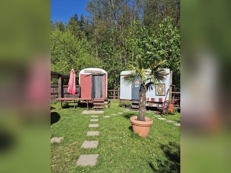 Reiterhof mit Jugendunterkünften & Hotelbetrieb – Bestehender Betrieb, treue Gäste, starke Perspekti