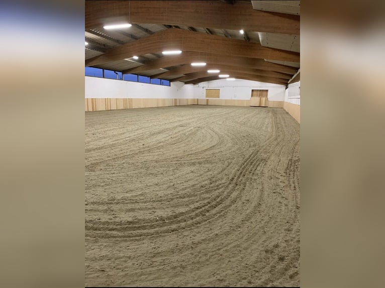Reithalle mit 21 Boxen bei  Bremervörde
