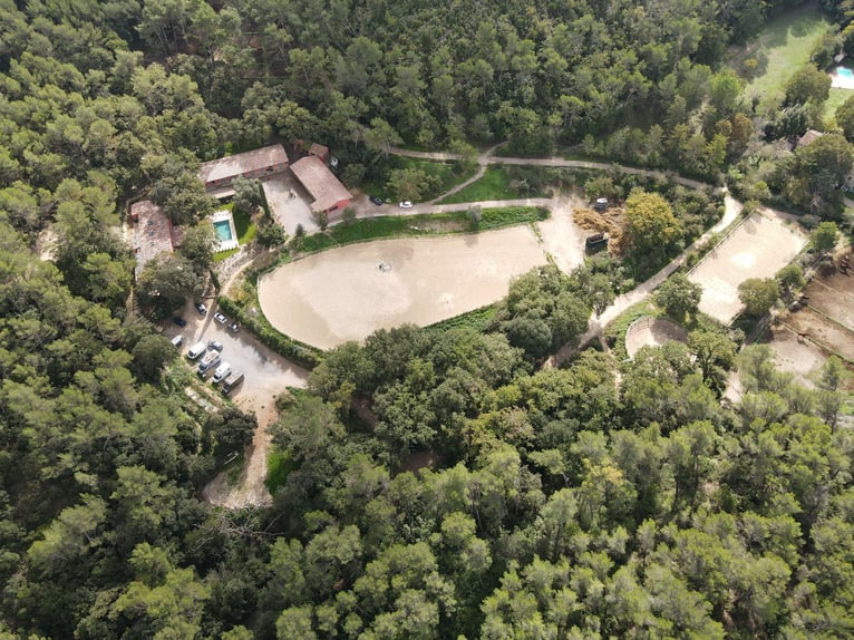 Reitkunst auf höchstem Niveau und Lebensart aus der Provence