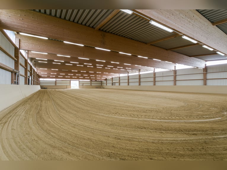 Reitsportanlage an Südlage