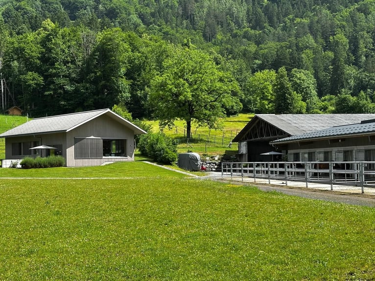 Reitsportanlage für den professionellen Bedarf in der Schweiz
