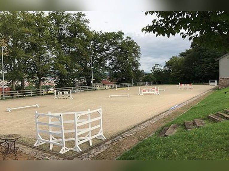 Reitsportanlage mit idealer Pferdeinfrastruktur nähe München