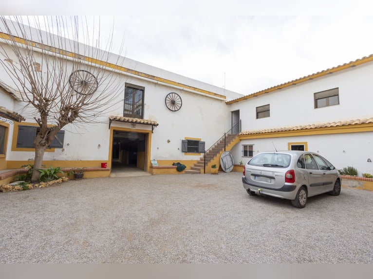 Reitstall und Chalet in der Nähe von Valencia zu verkaufen