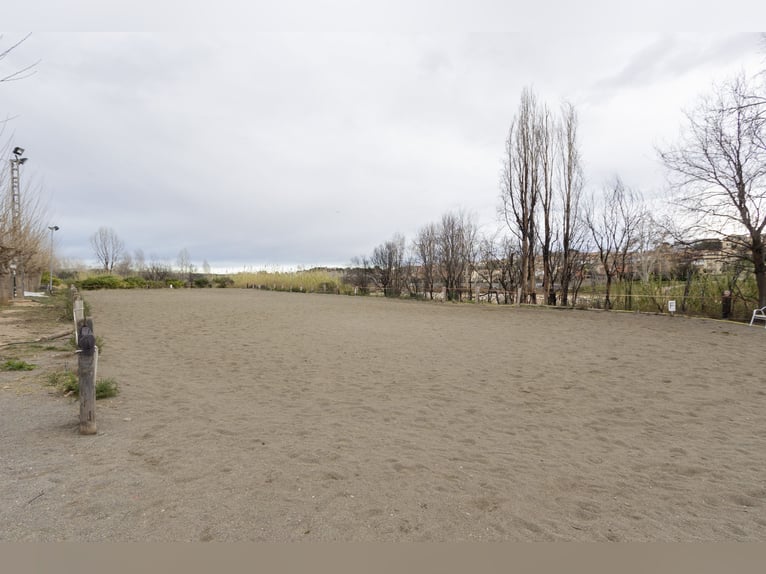 Reitstall und Chalet in der Nähe von Valencia zu verkaufen