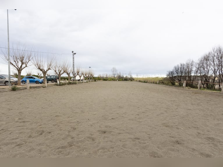 Reitstall und Chalet in der Nähe von Valencia zu verkaufen