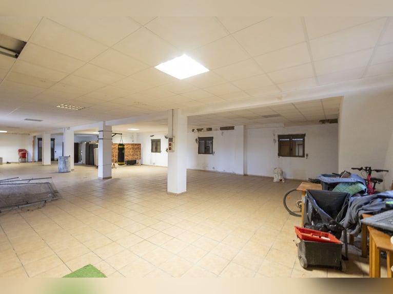 Reitstall und Chalet in der Nähe von Valencia zu verkaufen