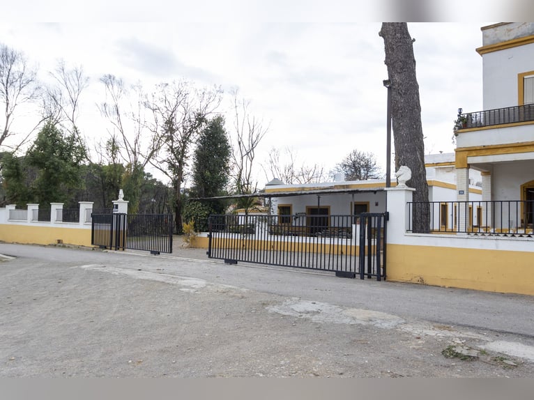 Reitstall und Chalet in der Nähe von Valencia zu verkaufen
