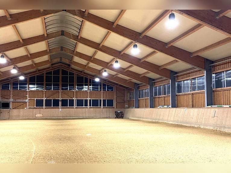 RESERVIERT - Historisches Mühlenanwesen mit moderner Reitanlage V13805