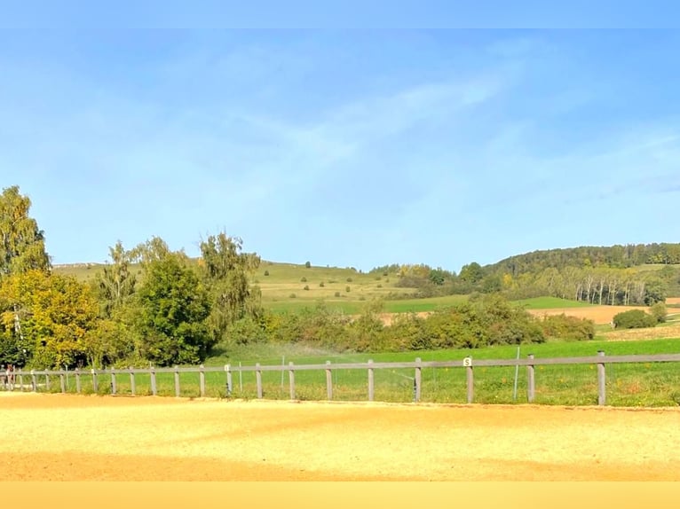 RESERVIERT - Historisches Mühlenanwesen mit moderner Reitanlage V13805