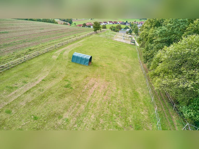 *reserviert* Pferdeimmobilie in Hessen – charmantes Fachwerkensemble mit Reithalle in Groß-Bieberau!