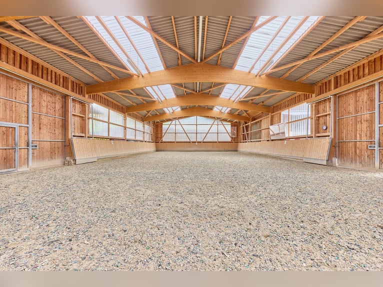 *reserviert* Pferdeimmobilie in Hessen – charmantes Fachwerkensemble mit Reithalle in Groß-Bieberau!