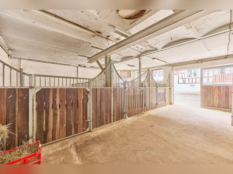*reserviert* Pferdeimmobilie in Hessen – charmantes Fachwerkensemble mit Reithalle in Groß-Bieberau!