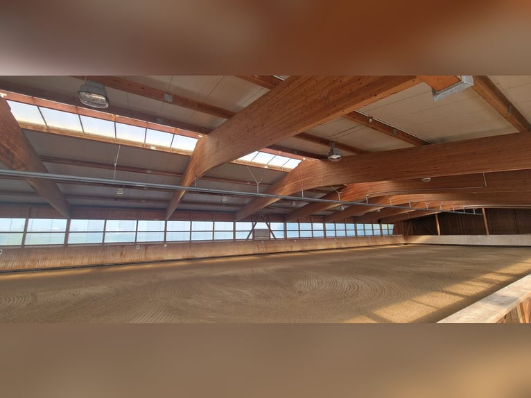 RESERVIERT - Professionelle Reitanlage für den großen Sport Rhein-Neckar-Metropolregion V1757