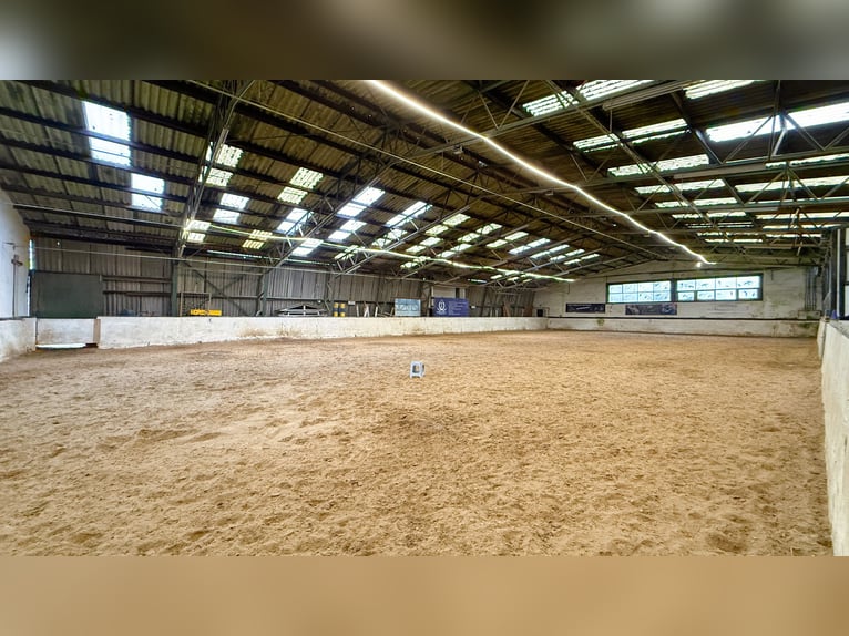 Resthof mit Reithalle, Stallanlagen und weitläufigen Pachtflächen in Linnich