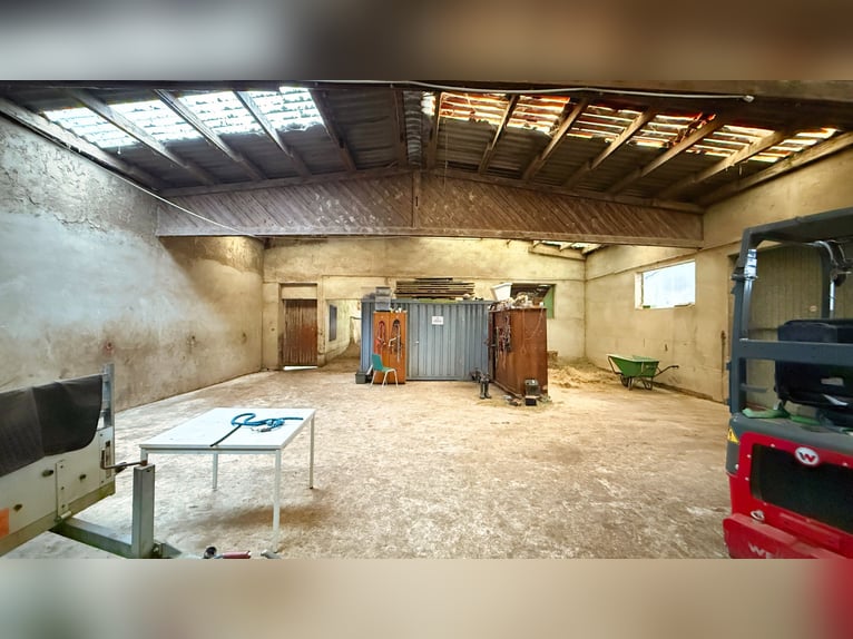 Resthof mit Reithalle, Stallanlagen und weitläufigen Pachtflächen