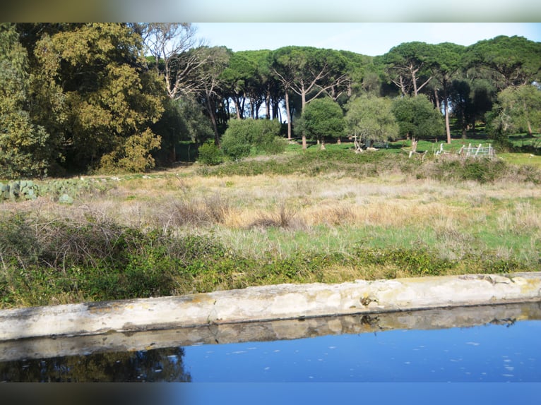 Ruhe pur - Finca in Vejer