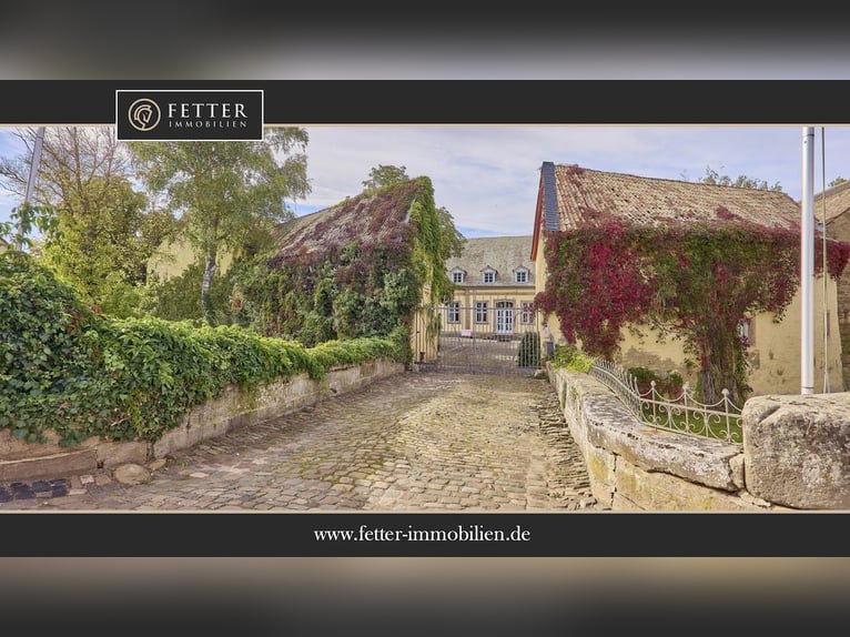 Schloss zu verkaufen in Rheinhessen mit eigener Reitanlage und Event-Location!