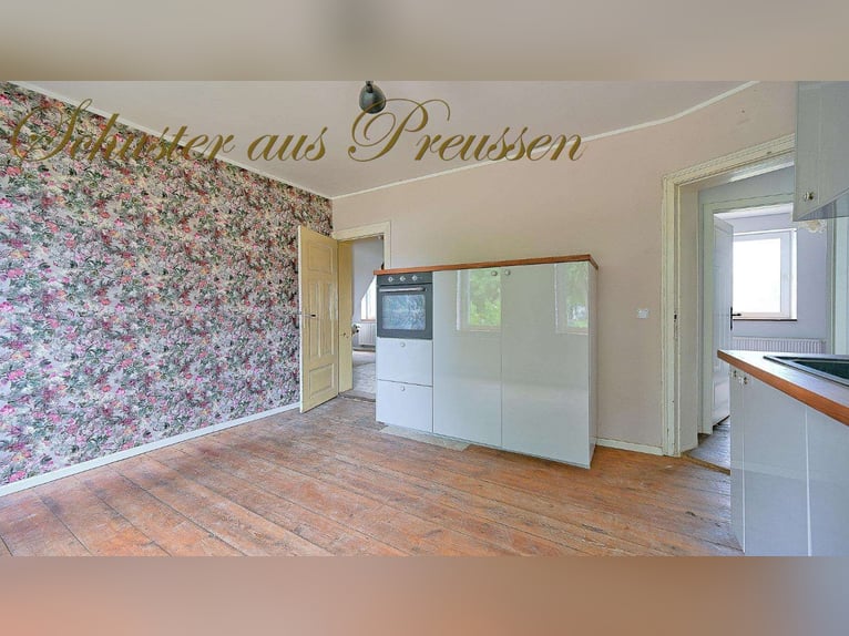 Schuster aus Preussen - Famoses Landhaus für den Pferdefreund - 1,7 ha Grundstück in malerischen Ort