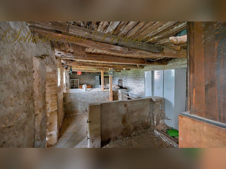 Schuster aus Preussen - Famoses Landhaus für den Pferdefreund - 1,7 ha Grundstück in malerischen Ort