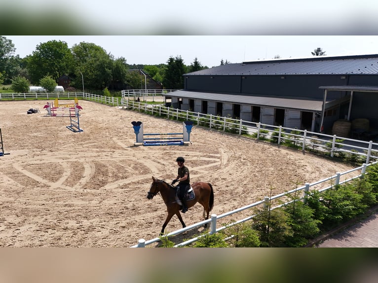 Stadnina koni z dusza i możliwościami inwestycyjnymi