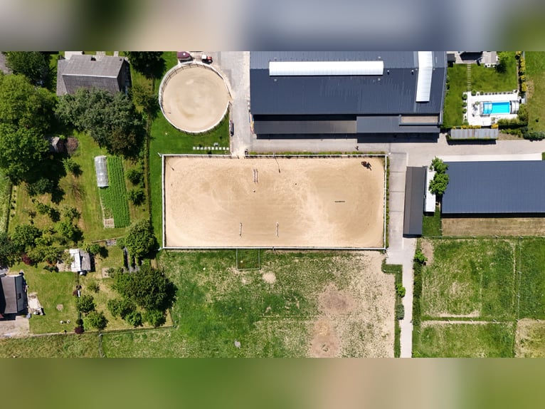 Stadnina koni z dusza i możliwościami inwestycyjnymi