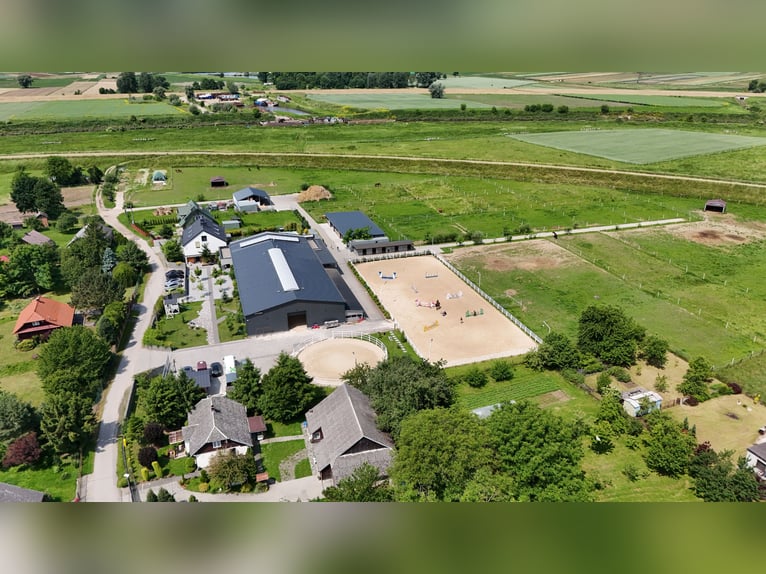 Stadnina koni z dusza i możliwościami inwestycyjnymi