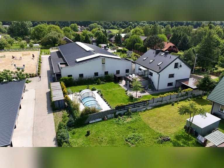 Stadnina koni z dusza i możliwościami inwestycyjnymi