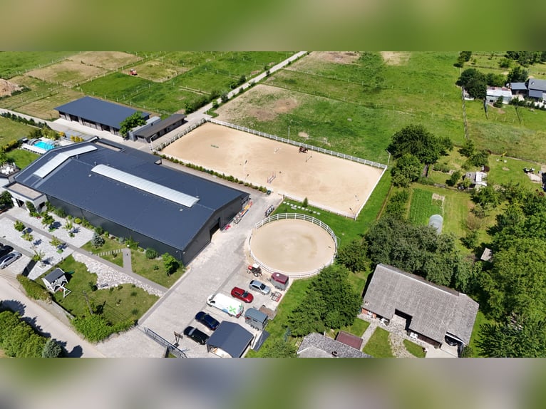 Stadnina koni z dusza i możliwościami inwestycyjnymi