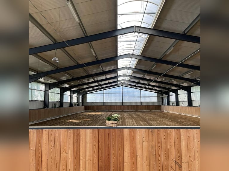 Stalltrakt zu verpachten in Herzlake Emsland