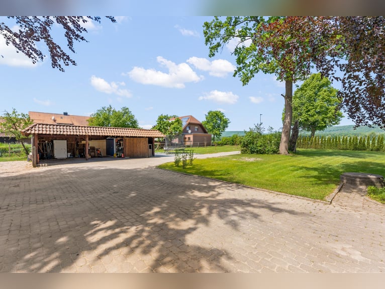 Stilvolle Stadtvilla in Feldrandlage