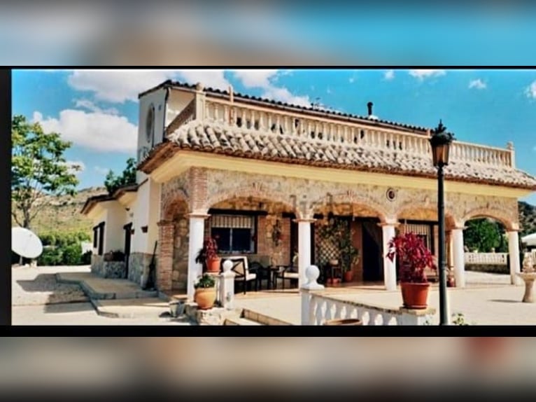 STUNNING EQUESTRIANPROPERTY/LANDHOUSE NEAR XATIVA/VALENCIA