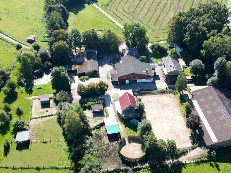 Teilverkauf einer etablierten Ranch- und Reitanlage im Reinhardswald Ca. 8 Hektar Gesamtfläche – Tre