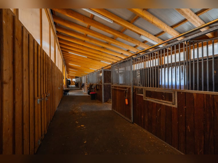 THE RANCH ist mehr als nur ein Zuhause – und weit mehr als ein klassischer Reiterhof
