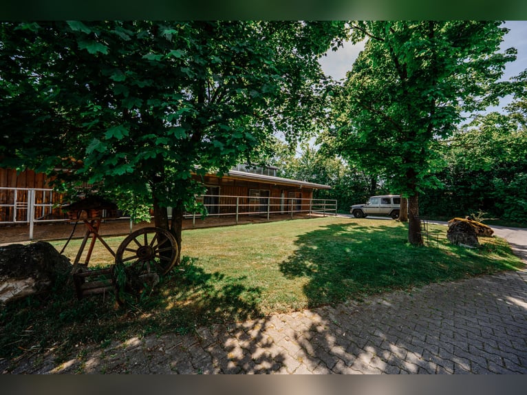 THE RANCH ist mehr als nur ein Zuhause – und weit mehr als ein klassischer Reiterhof