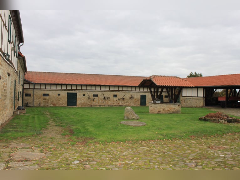 Traumhaft schöner Landsitz mit eigenem Wald, Reiterhof u.v.m. in ruhiger Lage mit guter Anbindung