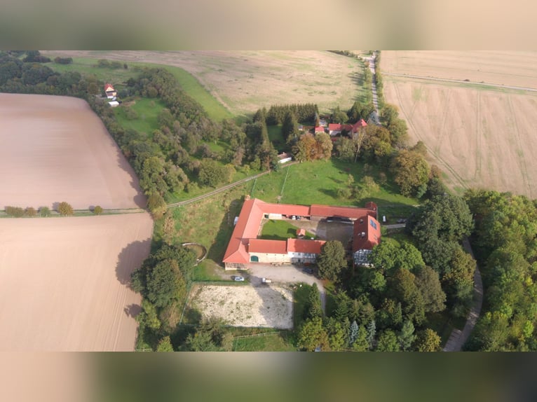 Traumhaft schöner Landsitz mit eigenem Wald, Reiterhof u.v.m. in ruhiger Lage mit guter Anbindung