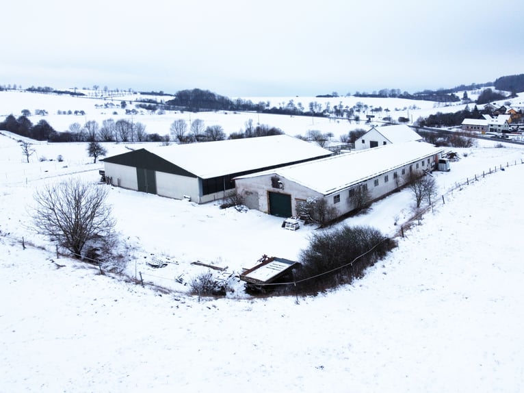 Traumhafte Reitanlage mit Reiterstube – Alleinlage inmitten Südthüringer Natur + perfekte Anbindung