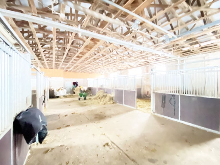 Traumhafte Reitanlage mit Reiterstube – Alleinlage inmitten Südthüringer Natur + perfekte Anbindung