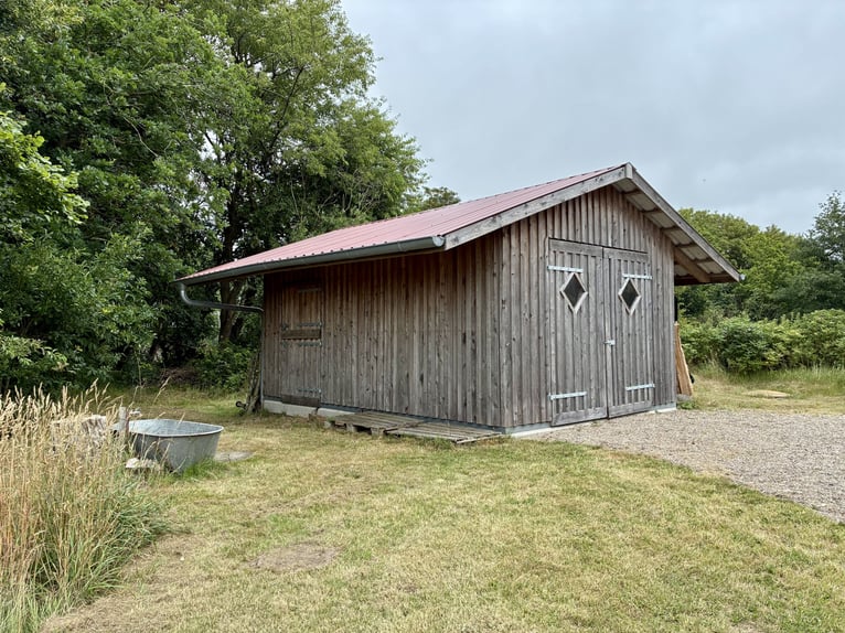 Traumhaftes Reetdachanwesen auf 1,8ha vor Sylt