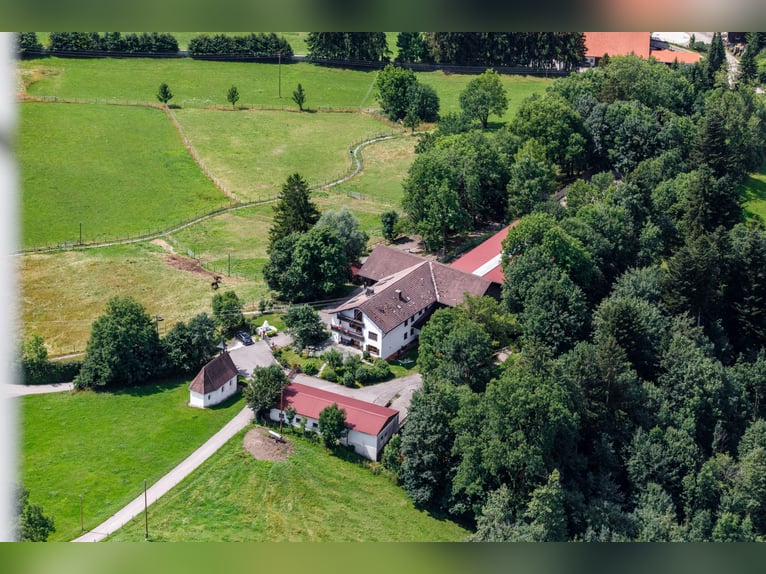 Traumimmobilie für Pferdeliebhaber im Allgäu mit einmaligem Alpenblick, PRIVATVERKAUF!