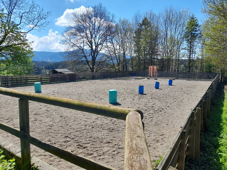 Traumimmobilie für Pferdeliebhaber im Allgäu mit einmaligem Alpenblick, PRIVATVERKAUF!